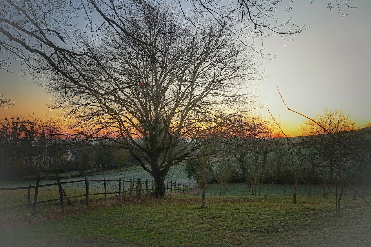 Guía SEO 6 para startups: posiciona tu web desde el primer día